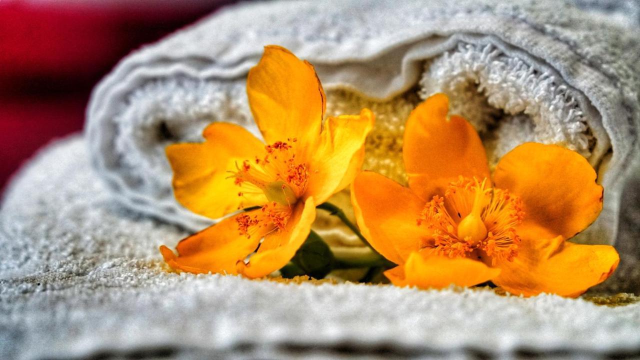 كونيو Bed & Breakfast Milu المظهر الخارجي الصورة