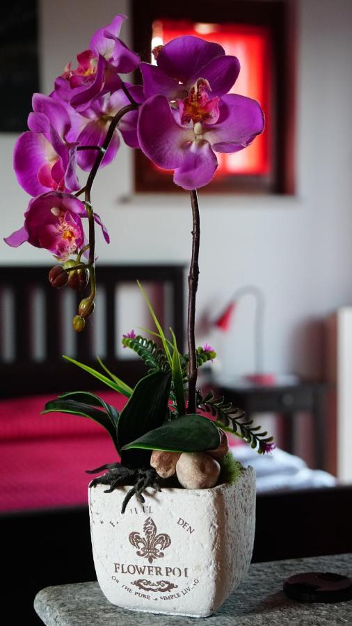 كونيو Bed & Breakfast Milu المظهر الخارجي الصورة